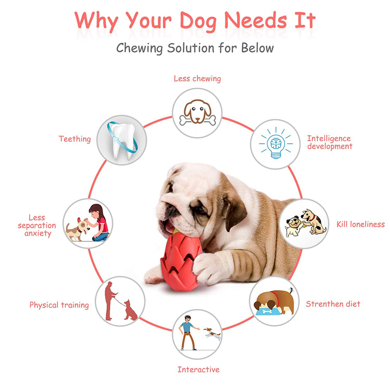 Benepaw Indestructible Pitaya  - Indestructible Dog Chew Toy ulasan dan harga