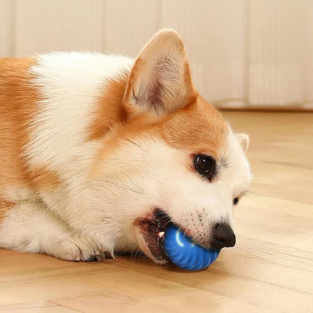 New 1pc Automatic Moving Dog T - Automatic Moving Dog Ball ulasan dan harga