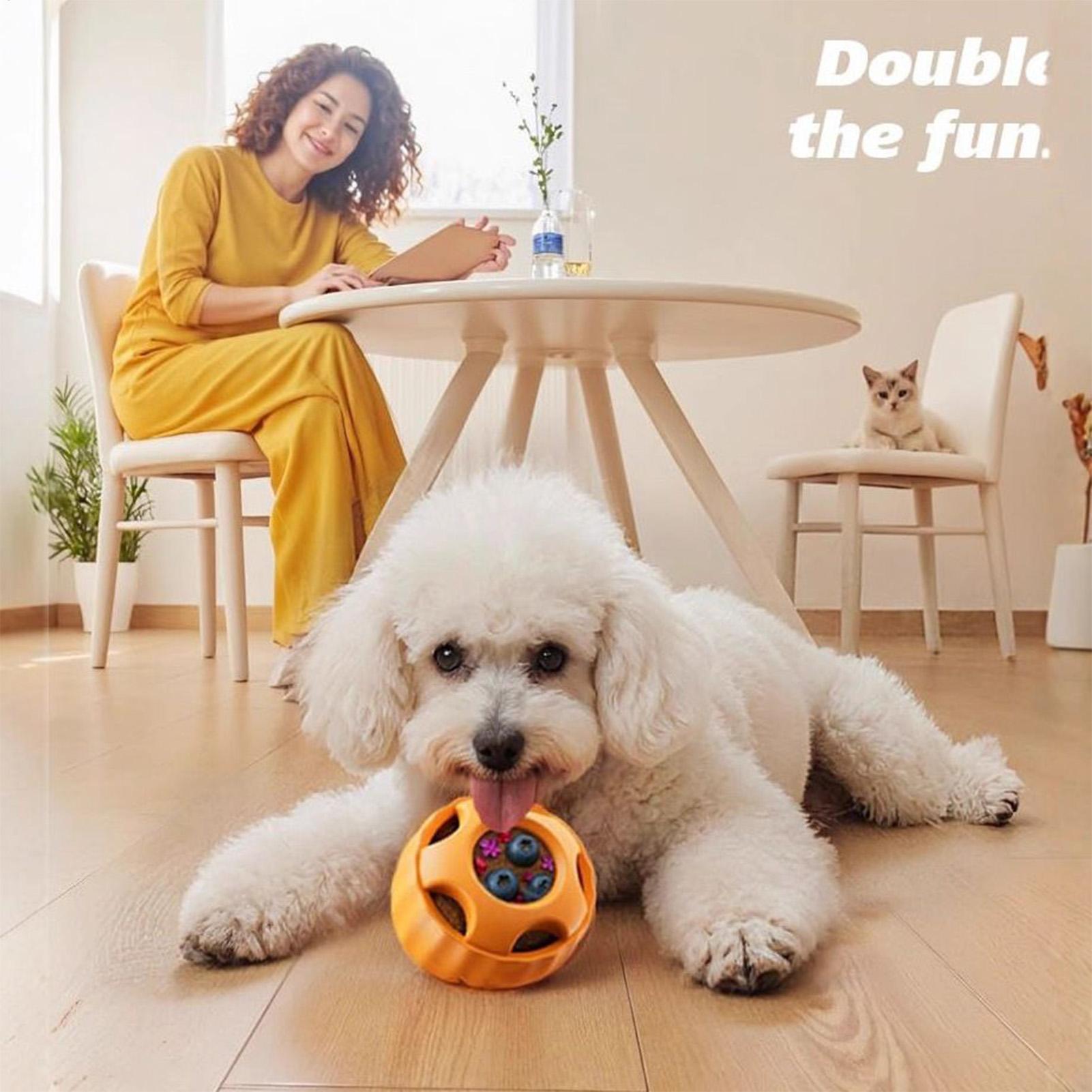 Treat Dispensing Dog Toys Dog  - Dog Puzzle Feeder Toy ulasan dan harga
