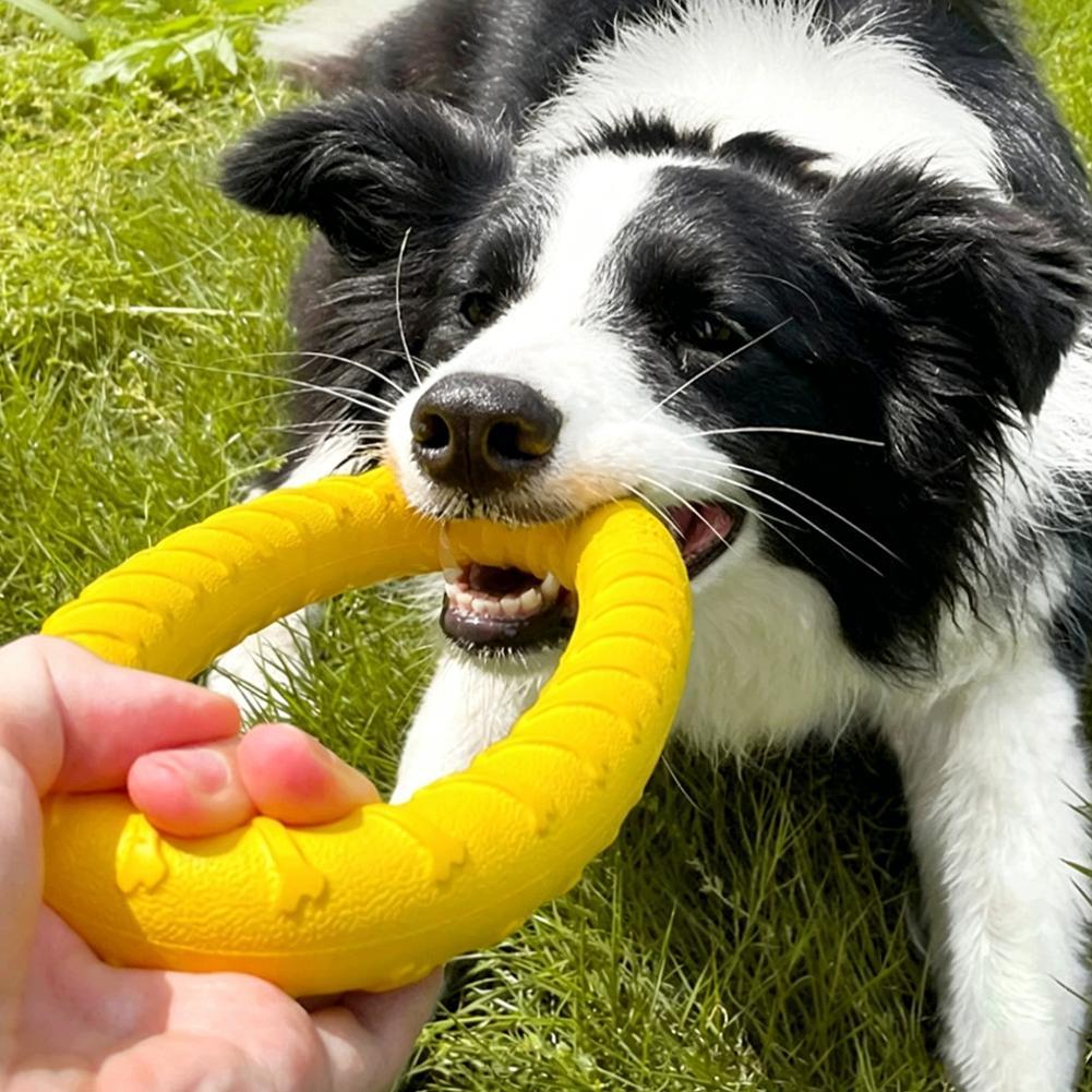 Medium Big Dog Training Ring P - Suction Cup Dog Tug Toy ulasan dan harga