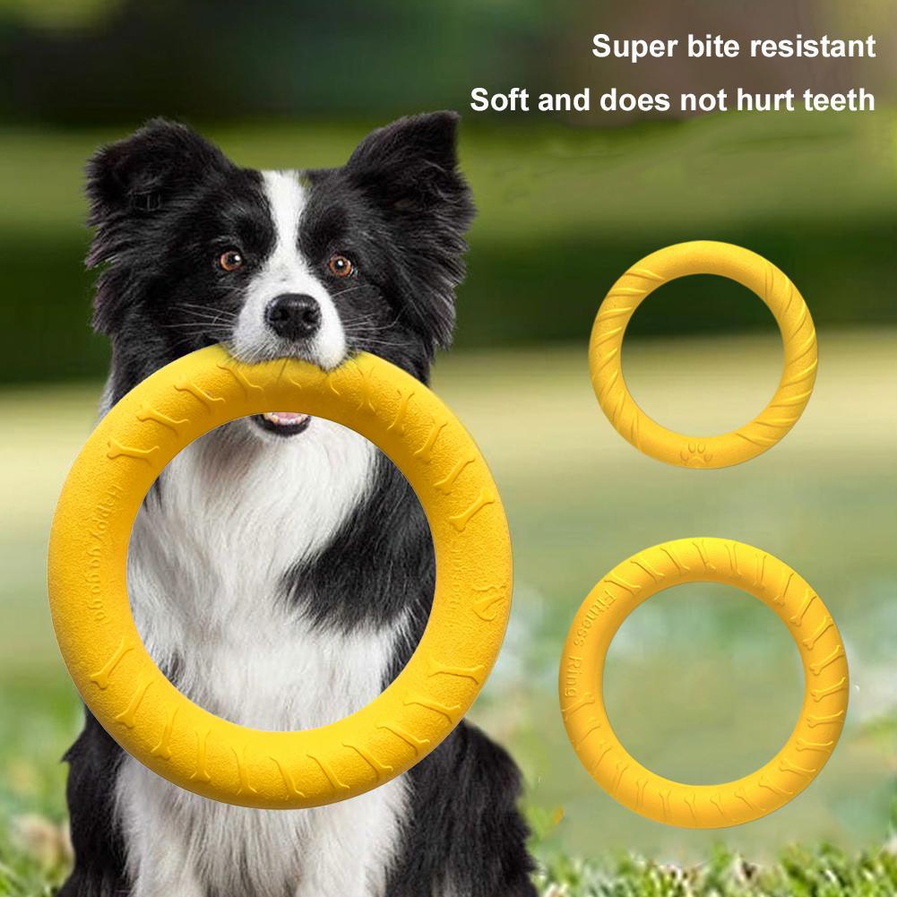 Medium Big Dog Training Ring P - Suction Cup Dog Tug Toy ulasan dan harga