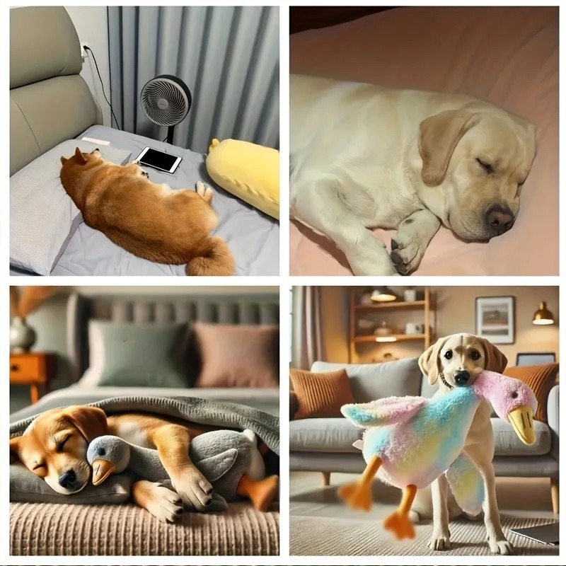 50cm Soft Colorful Duck Plush  - Interactive Squeaky Plush Dog Toy ulasan dan harga