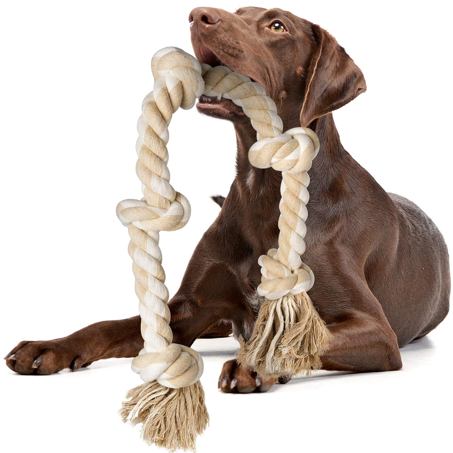 Durable Rope Chew Toys for Agg - Dog Rope Toy Aggressive Chewers ulasan dan harga