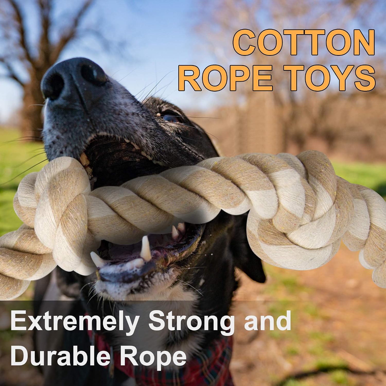 Durable Rope Chew Toys for Agg - Dog Rope Toy Aggressive Chewers ulasan dan harga