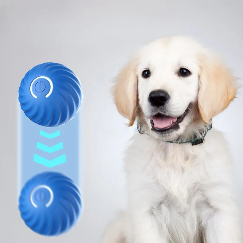 SS Pet Toy Ball Automatic Movi - Automatic Moving Dog Ball ulasan dan harga