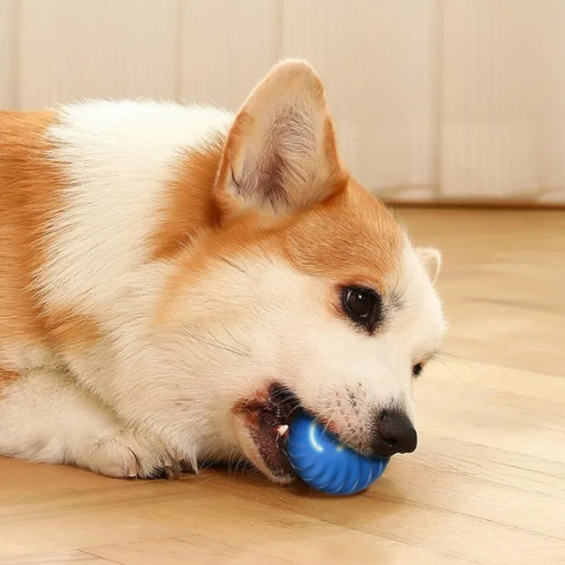 SS Pet Toy Ball Automatic Movi - Automatic Moving Dog Ball ulasan dan harga