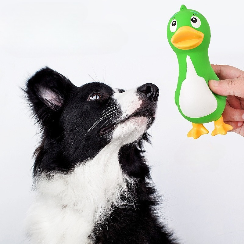 Squeaky Latex Chicken Duck Goo - Interactive Squeaky Plush Dog Toy ulasan dan harga
