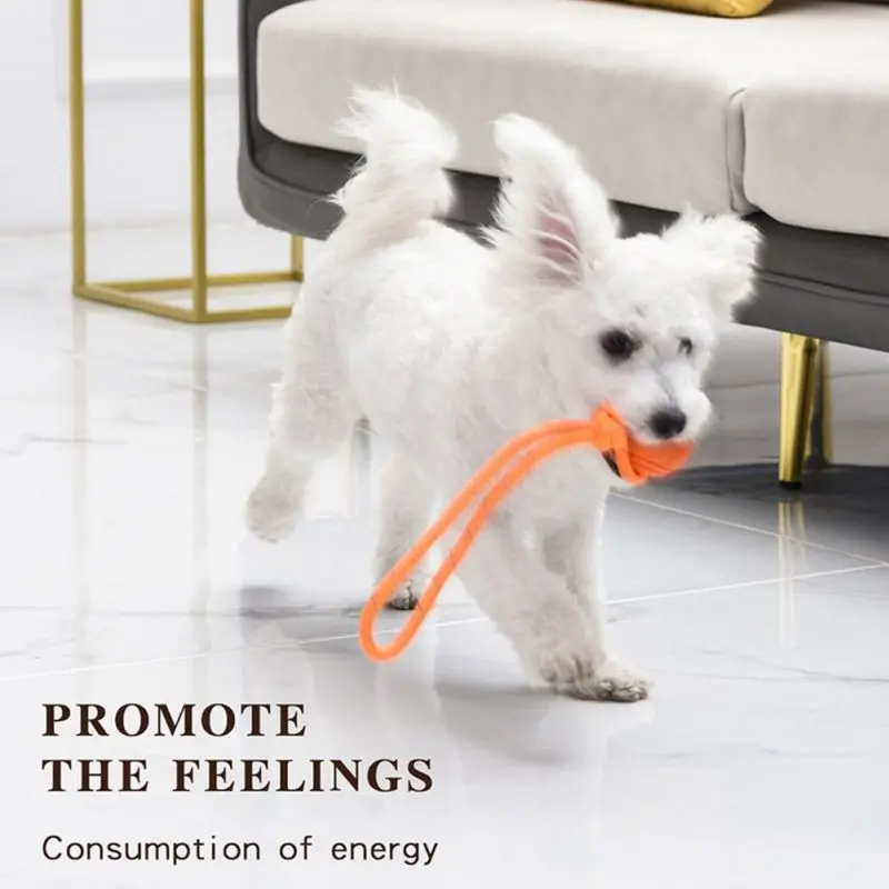 Dog Training Ball on Rope Cott - Suction Cup Dog Tug Toy ulasan dan harga