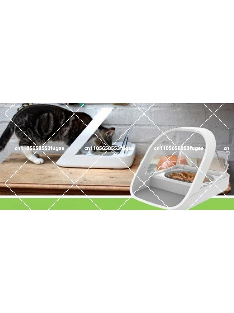 NEW  Chip Recognition Sensing  - Pet Feeders ulasan dan harga
