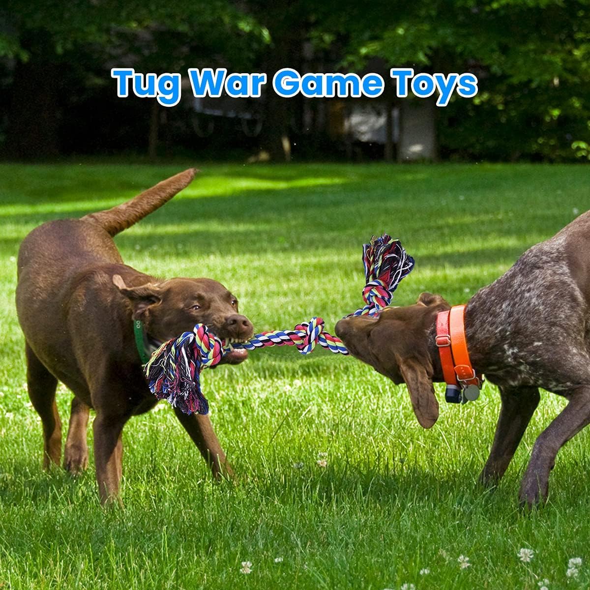 Tough Rope Dog Toys for Large  - Dog Rope Toy Aggressive Chewers ulasan dan harga