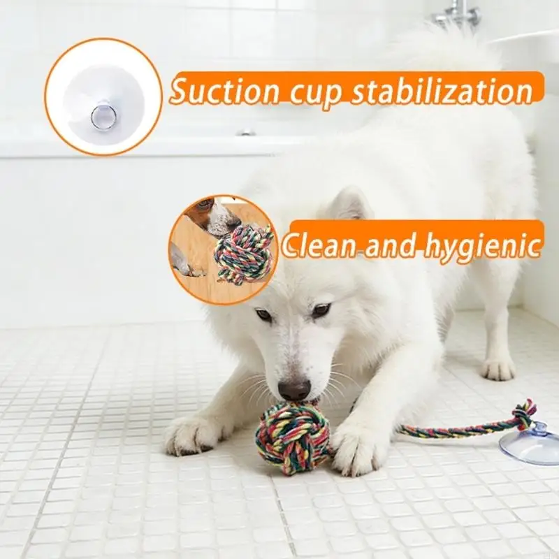 Interactive Dog Chewing Toy Tu - Suction Cup Dog Tug Toy ulasan dan harga
