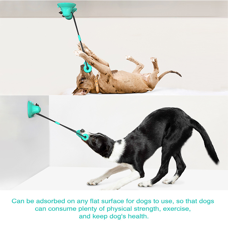 Dual Suction Cup Dog Chew Tug  - Suction Cup Dog Tug Toy ulasan dan harga
