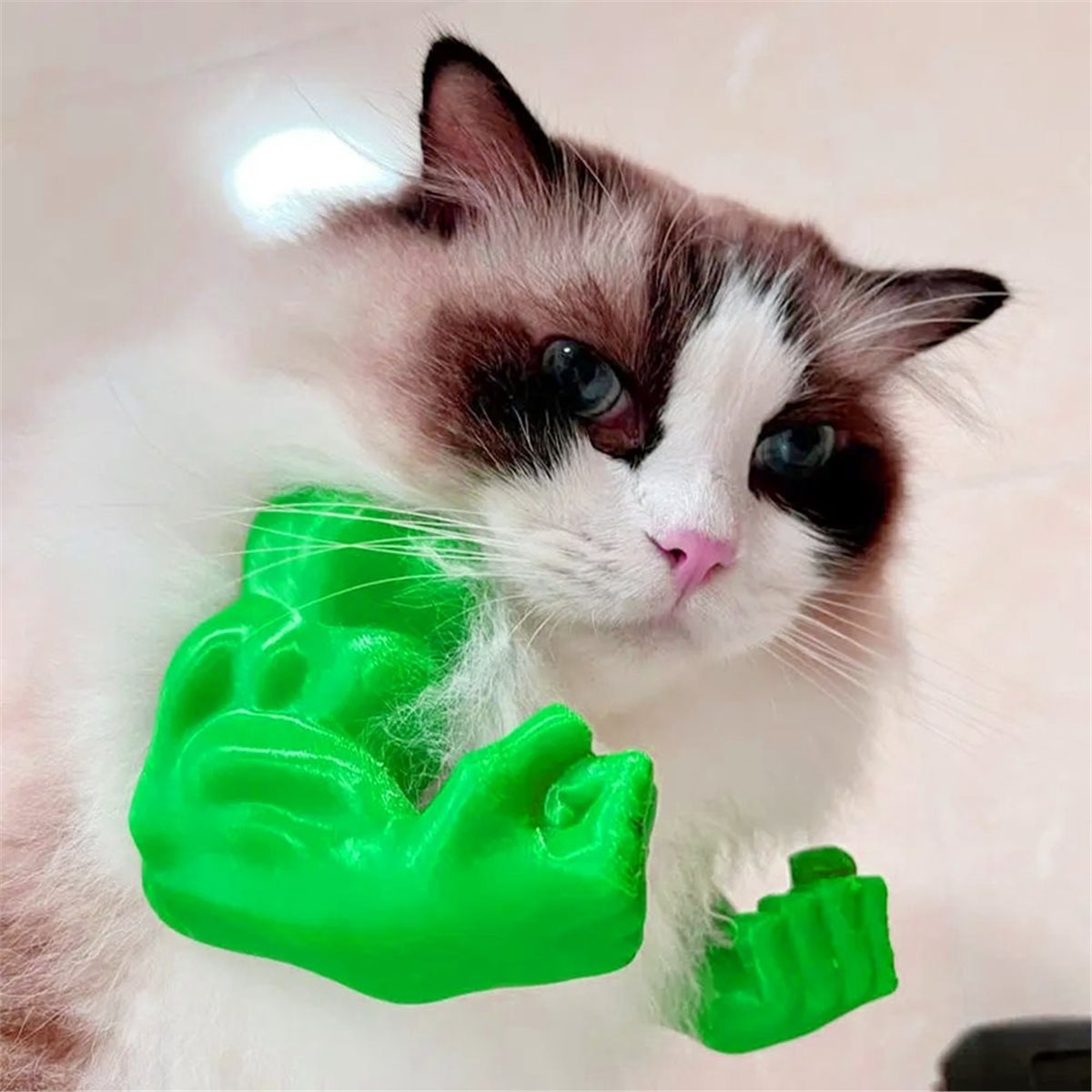 NEWCat Muscle Arm Pendant Pet  - Cat Toys ulasan dan harga