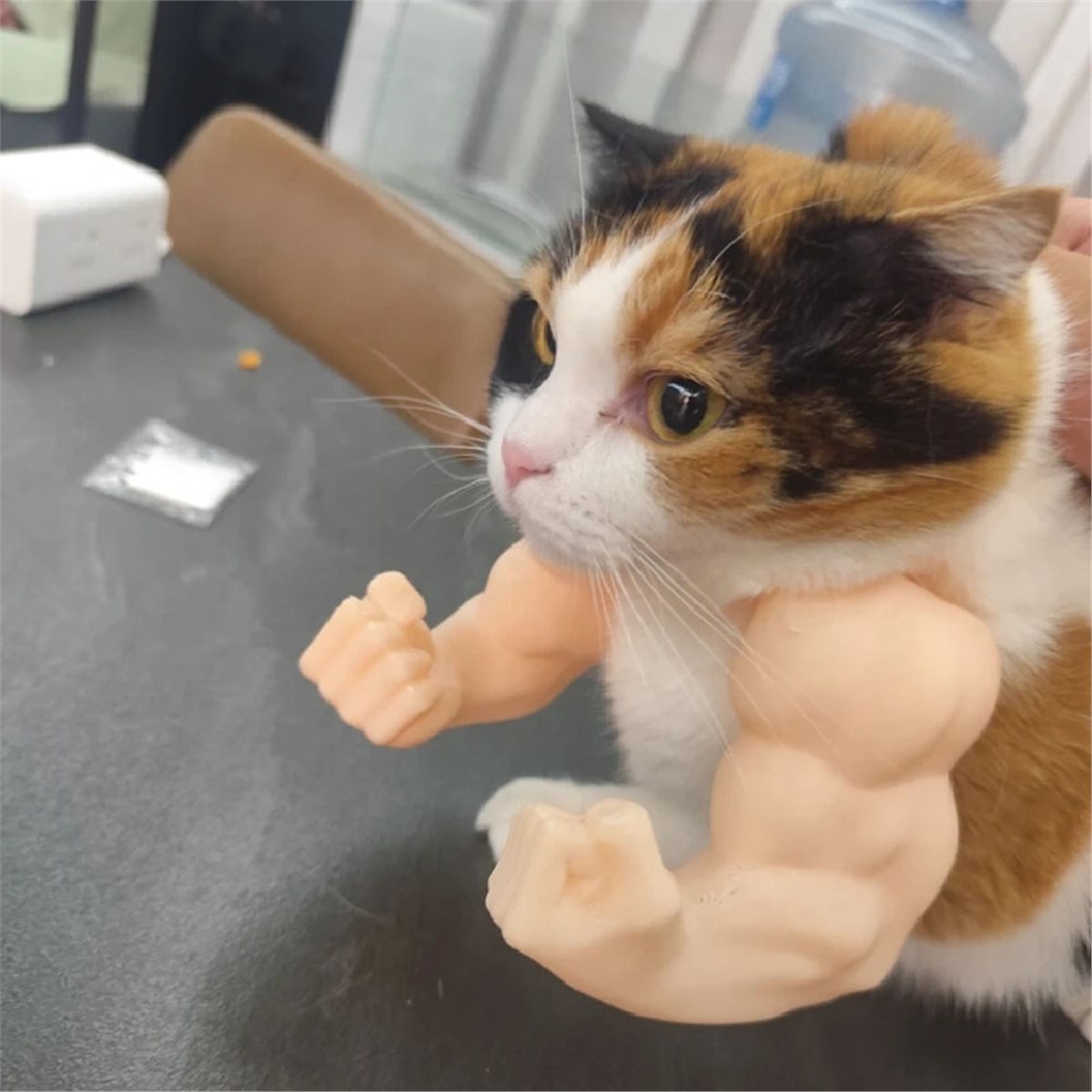 NEWCat Muscle Arm Pendant Pet  - Cat Toys ulasan dan harga