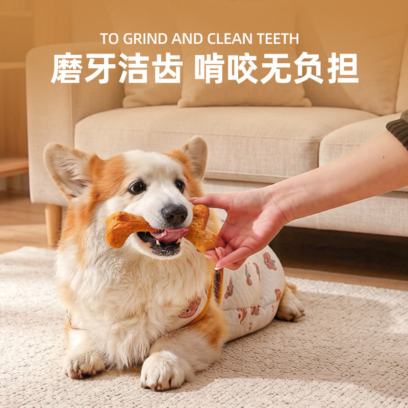 Dog ToyTPRDurable chew-resista - Teeth Cleaning Dog Chew Bone ulasan dan harga